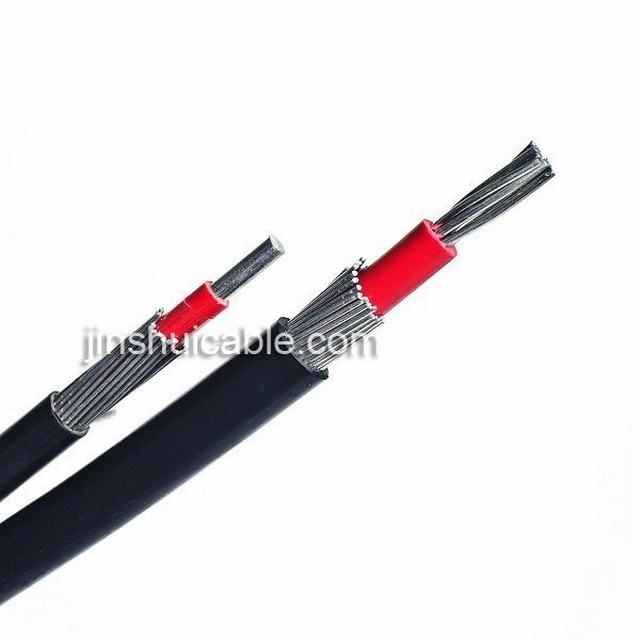 
                                 cavo isolato Cable/XLPE concentrico di 2X4/4mm Concentrica                            
