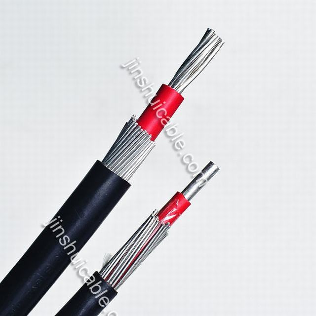  Core di rame 1X10+1X10mm2 Concentric Cable