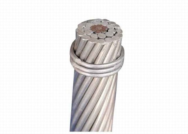 Good Quality ACSR Aluminium Conductor Steel Reinforced Using in Transmission Lion