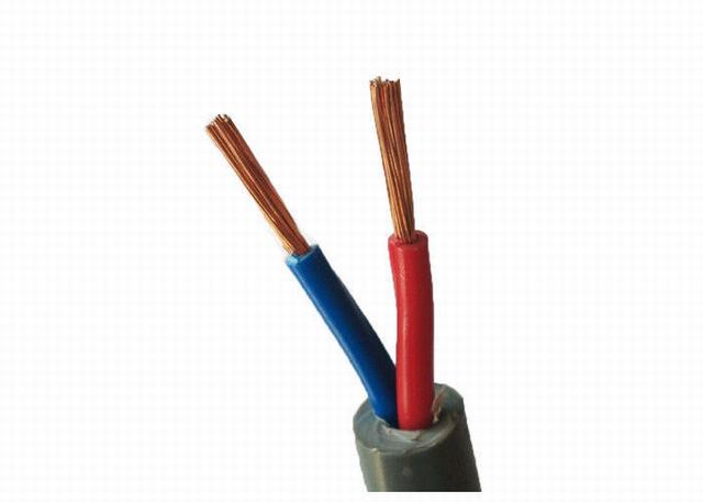 PVC Jacket Insulated Electrical Wire Outdoor 10sq mm 16sq mm Environmental Protection