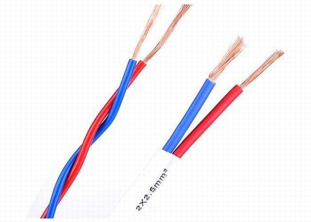 Two Cores Flexible Copper Conductor 300/500V Eletrical Cable Wire