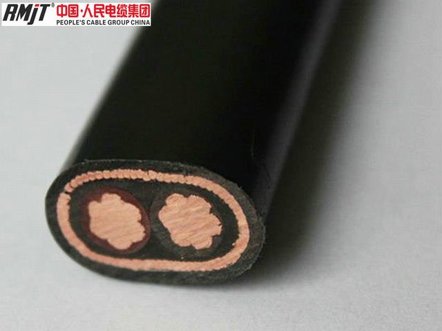 3*6 AWG UL854 Concentric Cable