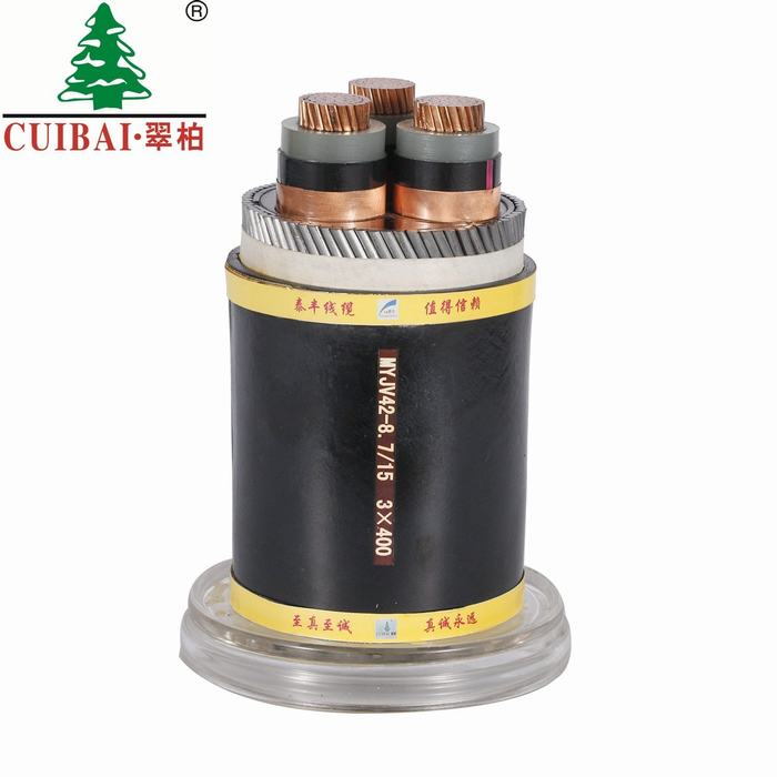 Copper/Steel Armoured XLPE Insulated PVC Sheathed Electrical Wire Power Cable