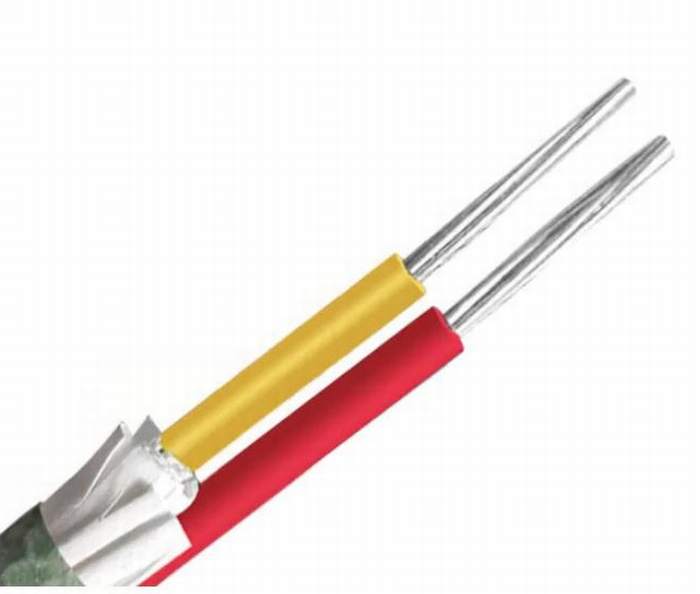 
                                 Concéntricos personalizado Sq 25 mm de aluminio de cable, cable de alimentación XLPE 0.6KV / 1kv                            