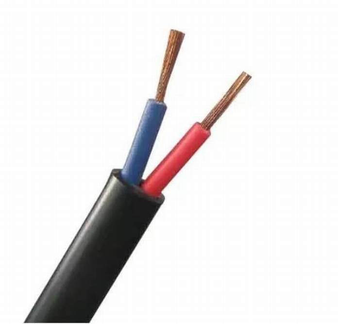 Double Cores Flexible Cores PVC Insulated Wire Cable Rvv 1.5mm2 2.5mm2 4mm2 with Plastic Package