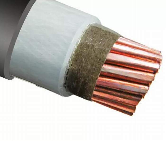 
                                 La norma IEC LV Mv Frc retardante de fuego aislamiento XLPE cable enfundado LSZH                            