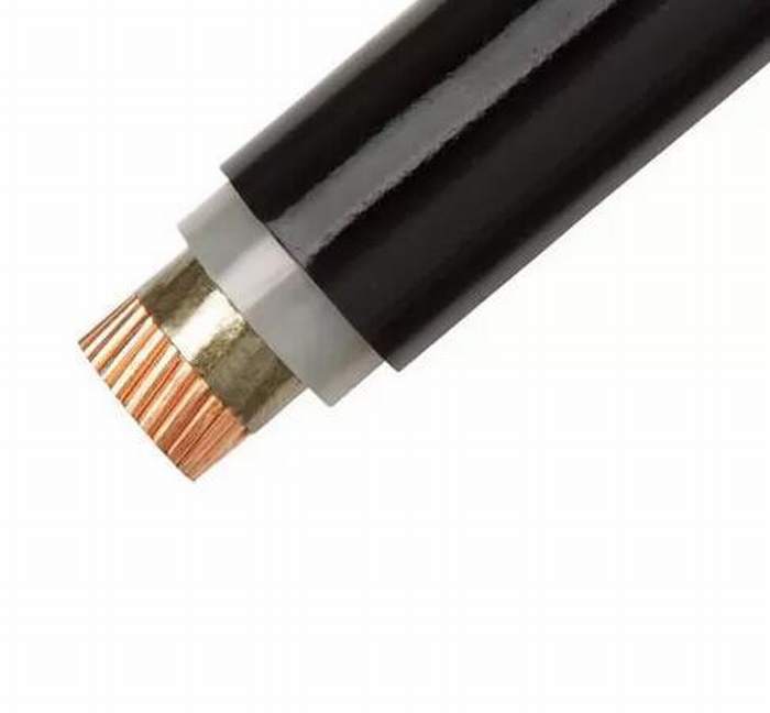 
                                 Aislamiento XLPE de baja tensión del cable a prueba de fuego Conductor de cobre recubierto de PVC                            