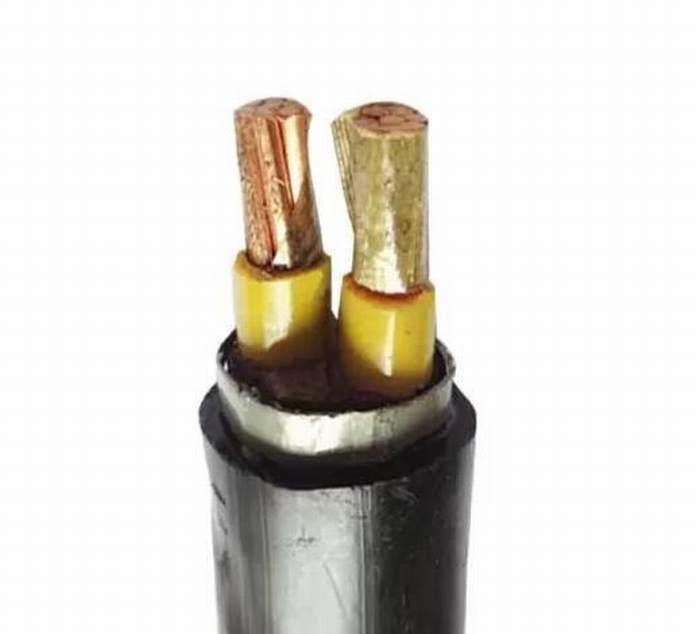 
                                 Krachtcentrale Muti - Vuurvaste Kabel iec60502-1 IEC60228 IEC60331 van het Lage Voltage van Kernen                            