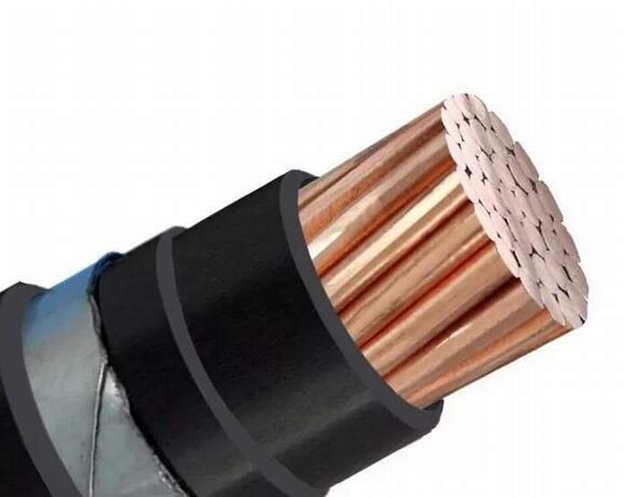 
                                 Einkerniges gepanzertes elektrisches Leiter-Kurbelgehäuse-Belüftung IsolierEdelstahl-Band-gepanzertes Kabel des Kabel-1kv kupfernes                            