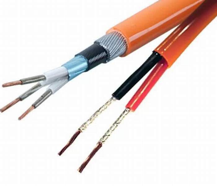 
                                 Blindado con alambre de acero Muti Core Cu / XLPE/PVC Frc Cable a prueba de fuego 0.6/1kv Ce certificado RoHS                            