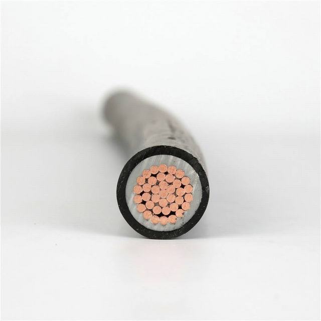2 3 4 5 Cores PVC/XLPE Insulated Aluminum/Copper Conductor Electric Power Cable