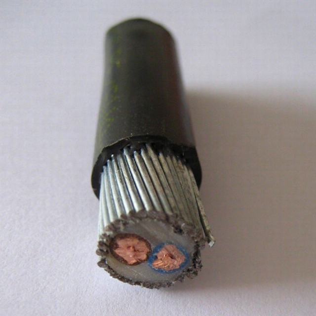  0.6/1kv kabel Cu/PVC/Swa/PVC 2X16, 2X50, 2X70, 2X95, 2X120, 2X150, 2X185mm2