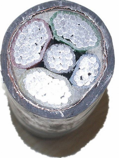  0.6/1kv vieladriges XLPE isolierte doppeltes Stahlband-Rüstungs-Aluminium, das er kabelt