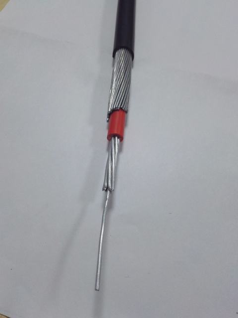  10 мм2 ПВХ изоляцией кабель обслуживания Одна фаза концентрических алюминиевых кабеля без двух основных медных кабелей связи