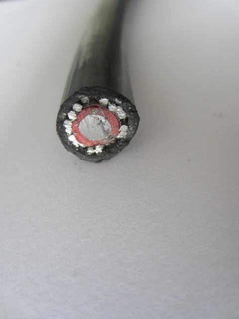  10mm2 16mm2 Cne end câble concentrique