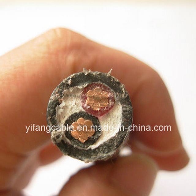  450/750V 2x10mm2, Conductor de cobre de cable de PVC