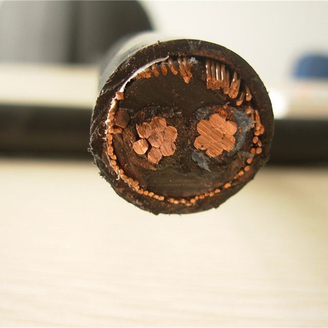  600/1000V ronda com núcleo de cobre 2 Fio de cobre de Núcleo do cabo de alimentação concêntrica blindados