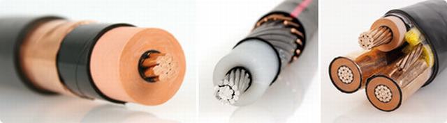 8.7/15 (17.5) Kv XLPE Insulated PVC Sheathed Unarmoured Power Cable
