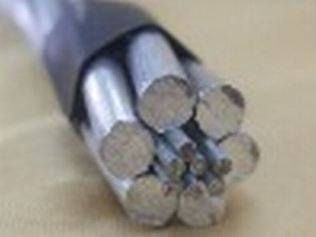  El conductor de aluminio reforzado de acero (ACSR)