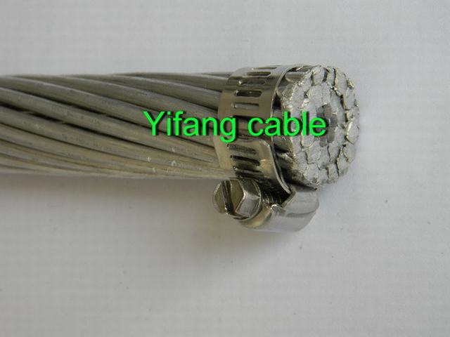 Aluminum Conductor Steel Reinfore-ACSR Conductor