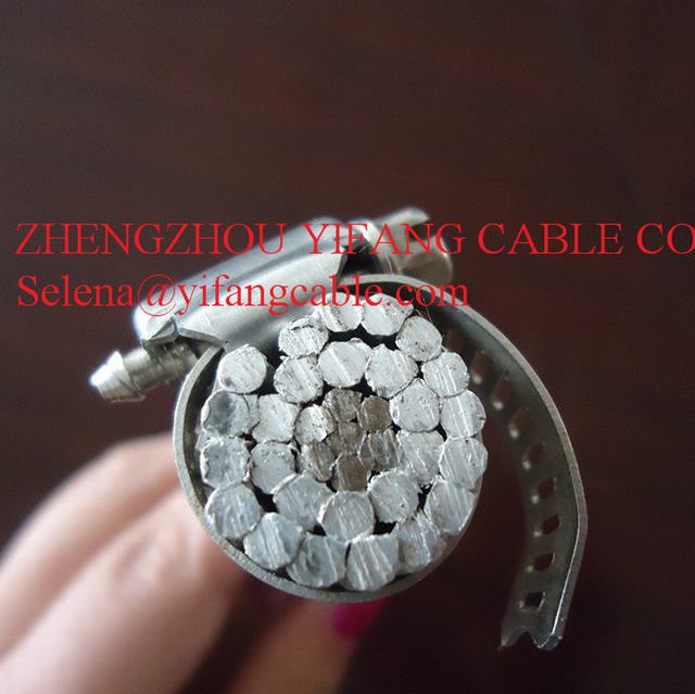 BS215 Aluminum Conductor Steel Reinforced