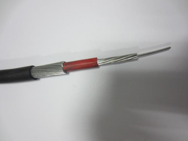  El cable 10sqmm LV S/C PVC al concéntricos