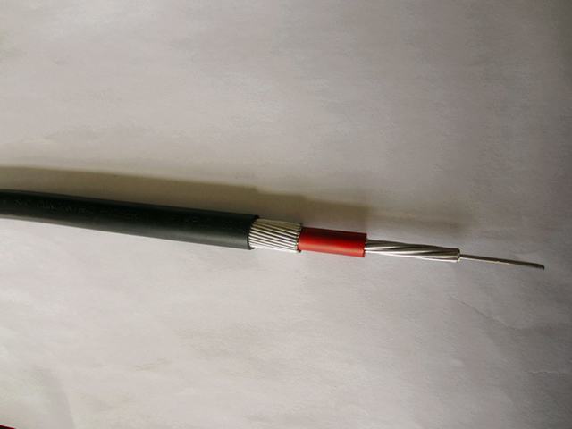  Concentrico Cable de aluminio 2x10mm2 (XLPE-PVC) 0.6/1 Kv