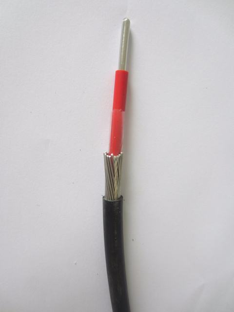  Concentrico Aluminio Câble 2x16mm2 (XLPE-PVC) 0.6/1 Kv