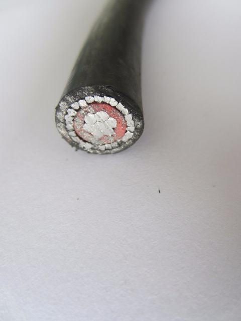  Concentrico Cable de aluminio 2X8AWG (XLPE-PVC) 0.6/1 Kv