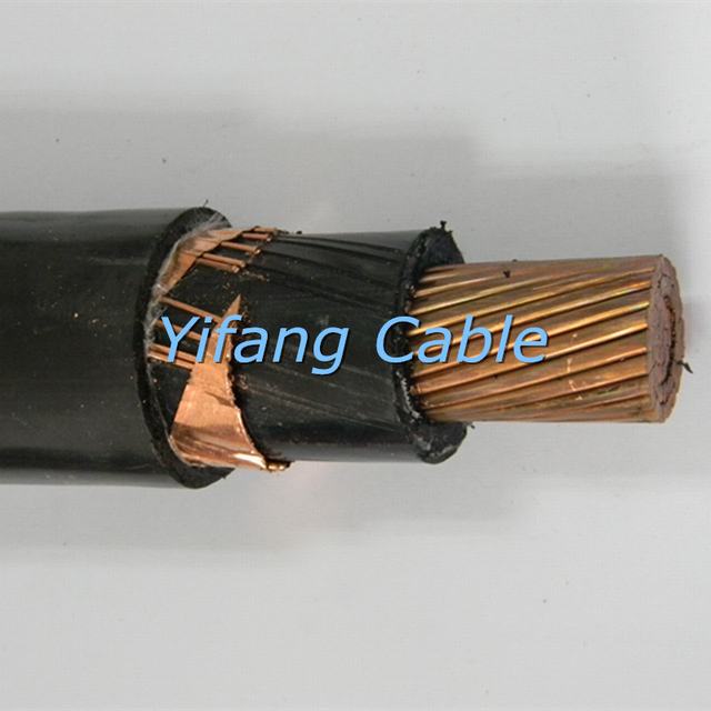  De middelgrote Kabel van het Voltage N2xs (SE) Y
