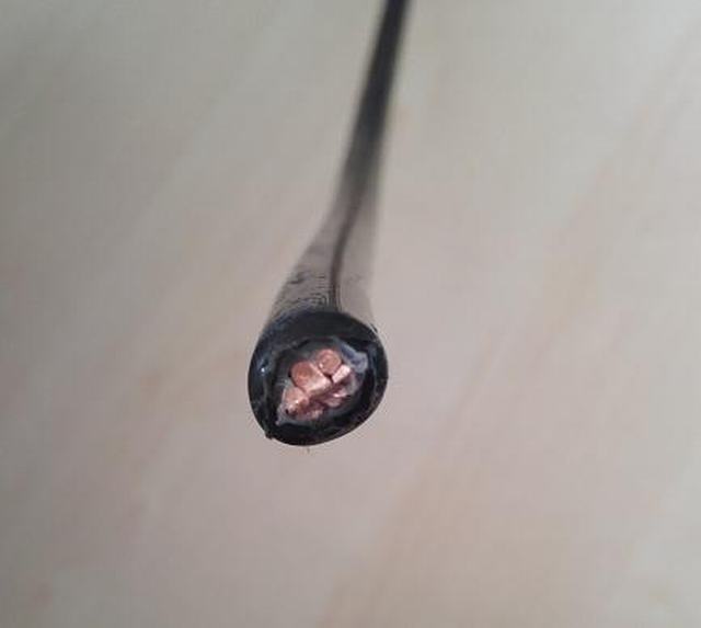  Einkerniges Cu/PVDF/Hmwpe kathodisches Kabel 1X10mm2