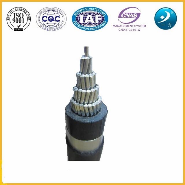 Single Core Mv Power Cable 6/10kv with Aluminum Conductor