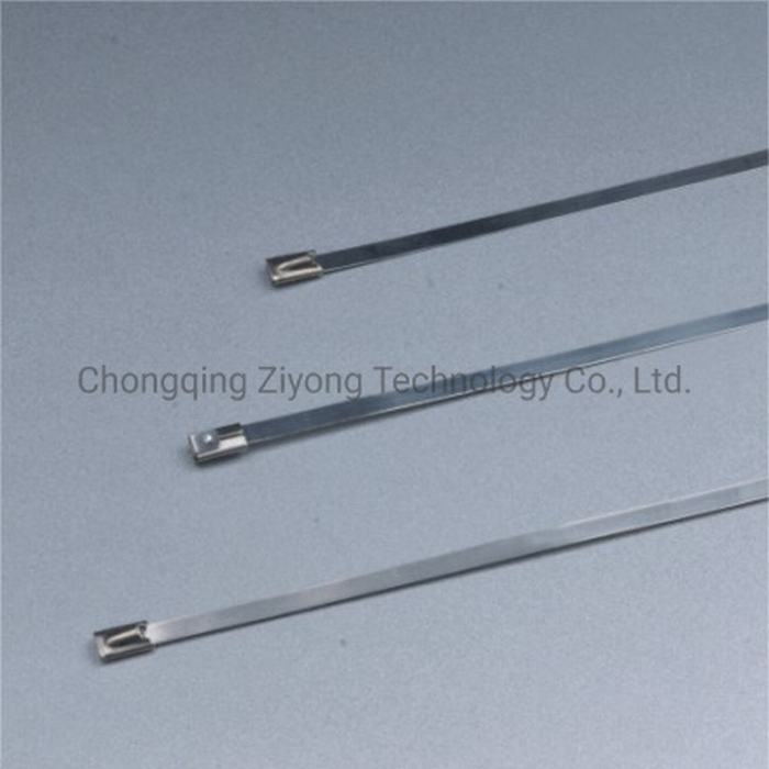 Strainess Steel Cable Tie with Best Price