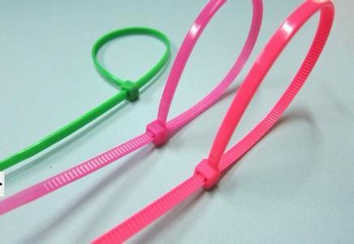 
                                 UL de goedgekeurde Plastic Nylon Banden van de Kabel (2.5*100mm)                            