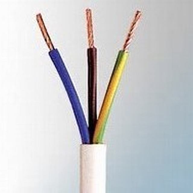 
                                 1,5 mm de 3 núcleos sólidos o de PVC trenzado El cable eléctrico                            