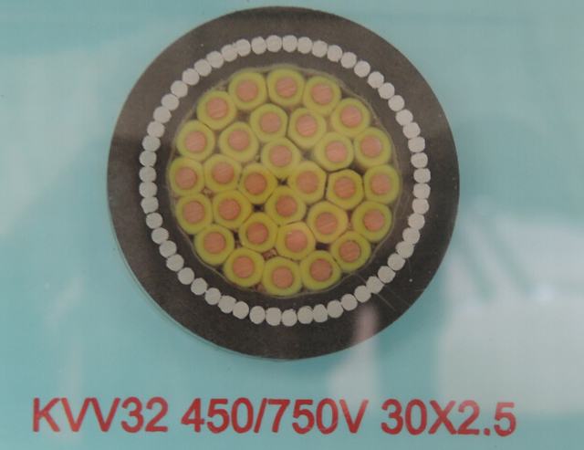 450/750V, 600/1000V PVC Insulated Steel Wire Armored Control Cable