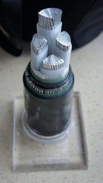 
                                 L'aluminium aluminium avec isolation XLPE conducteurs du fil en acier câble d'alimentation blindés                            