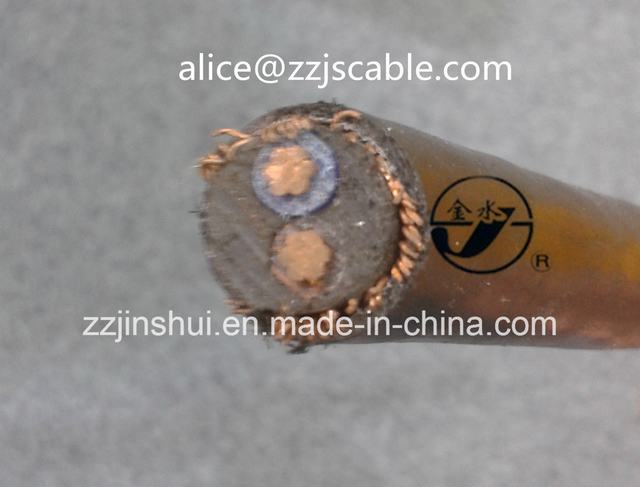  0.6/1kv cavo rotondo concentrico del cavo 2*6AWG+6AWG Copper/XLPE/PVC