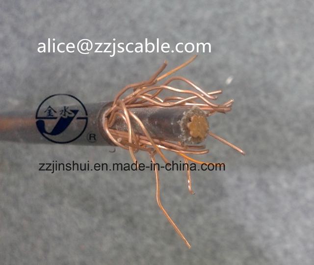  Obenliegendes konzentrisches Kabel-Kupfer XLPE 0.6/1kv des Kabel-1*10+10mm2
