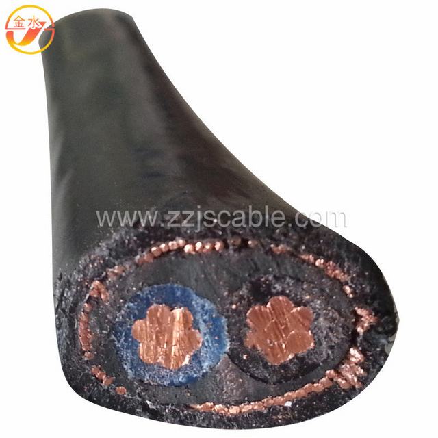 Two Core XLPE Insulated Power Cable